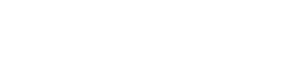 Pirk Spark
