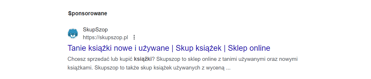 Google Ads - Co to? Przykład sponsorowanej strony w Google